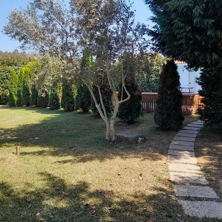 Refugio Singelo Apartment Espinho  Ngoại thất bức ảnh